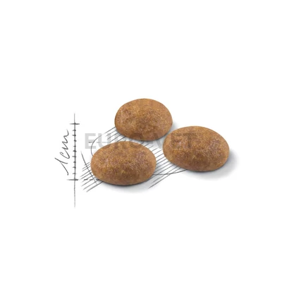 Royal Canin Outdoor 30 2 kg Feed EURO VET Webshop